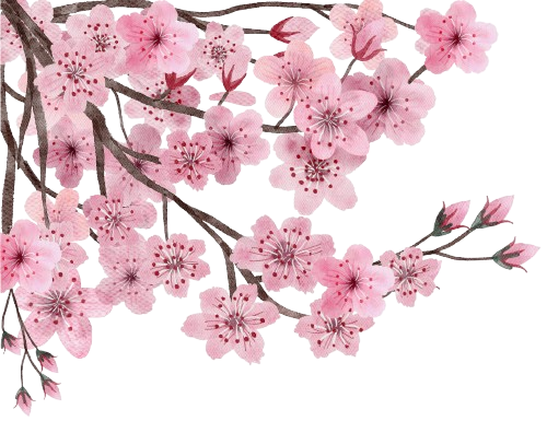 Sakura Decoration